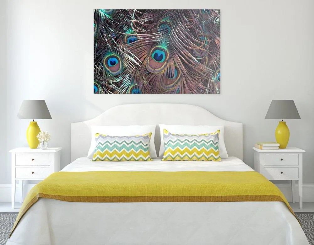 Quadro su tela – Piuma di pavone