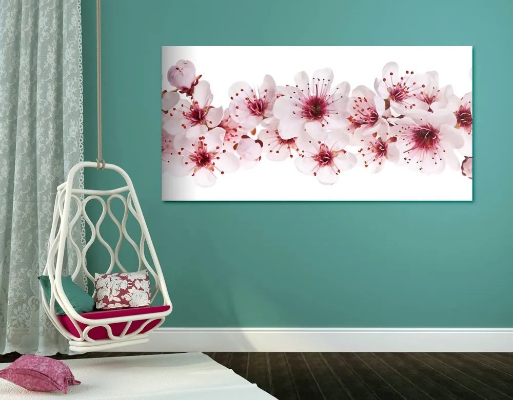 Stampa su tela – Fiori di ciliegio
