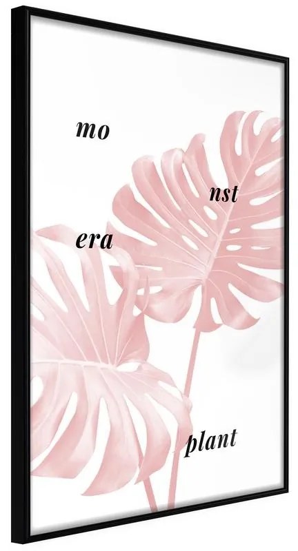 Poster Pale Pink Monstera