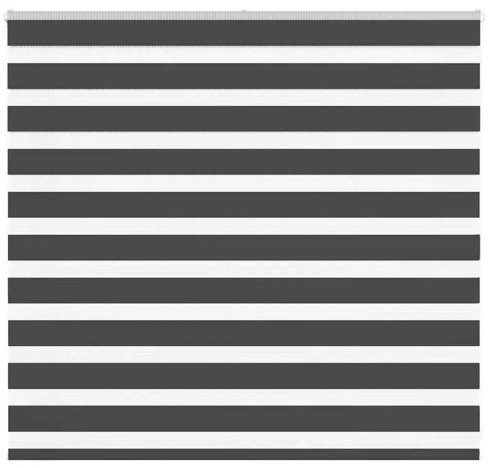 Tenda A Rullo Zebra Nero Larghezza Tessuto 160,9 Cm Poliestere /