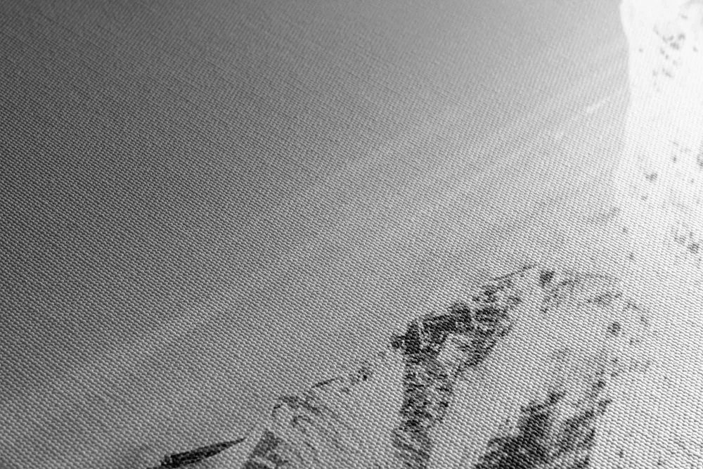 Quadro su tela – Catena montuosa innevata in bianco e nero