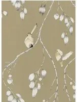 Vogel Tapete Iyanu von Harlequin - Linen/ Blush