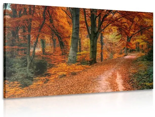 Stampa su tela – Foresta in autunno