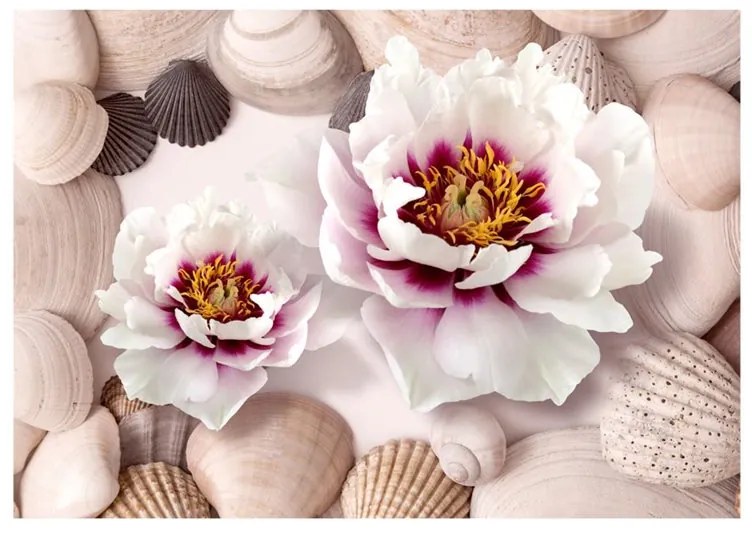 Fotomurale  Flowers and Shells  Colore Arancione, Dimensioni e Misure 100x70