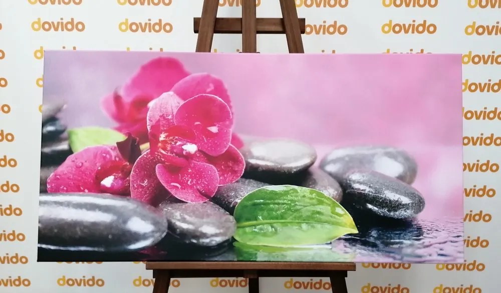 Stampa su tela – Orchidea con tocco di relax