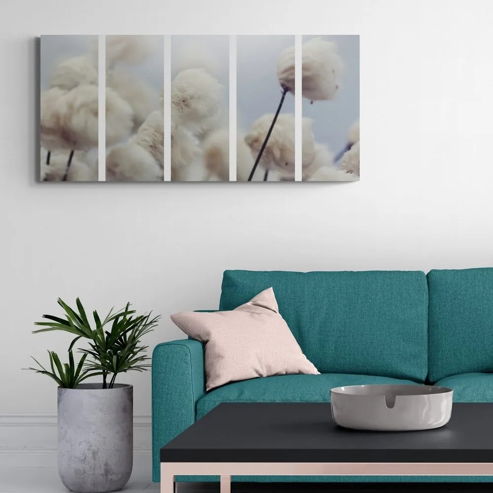 Quadri 5 pezzi – Fiori di cotone artico