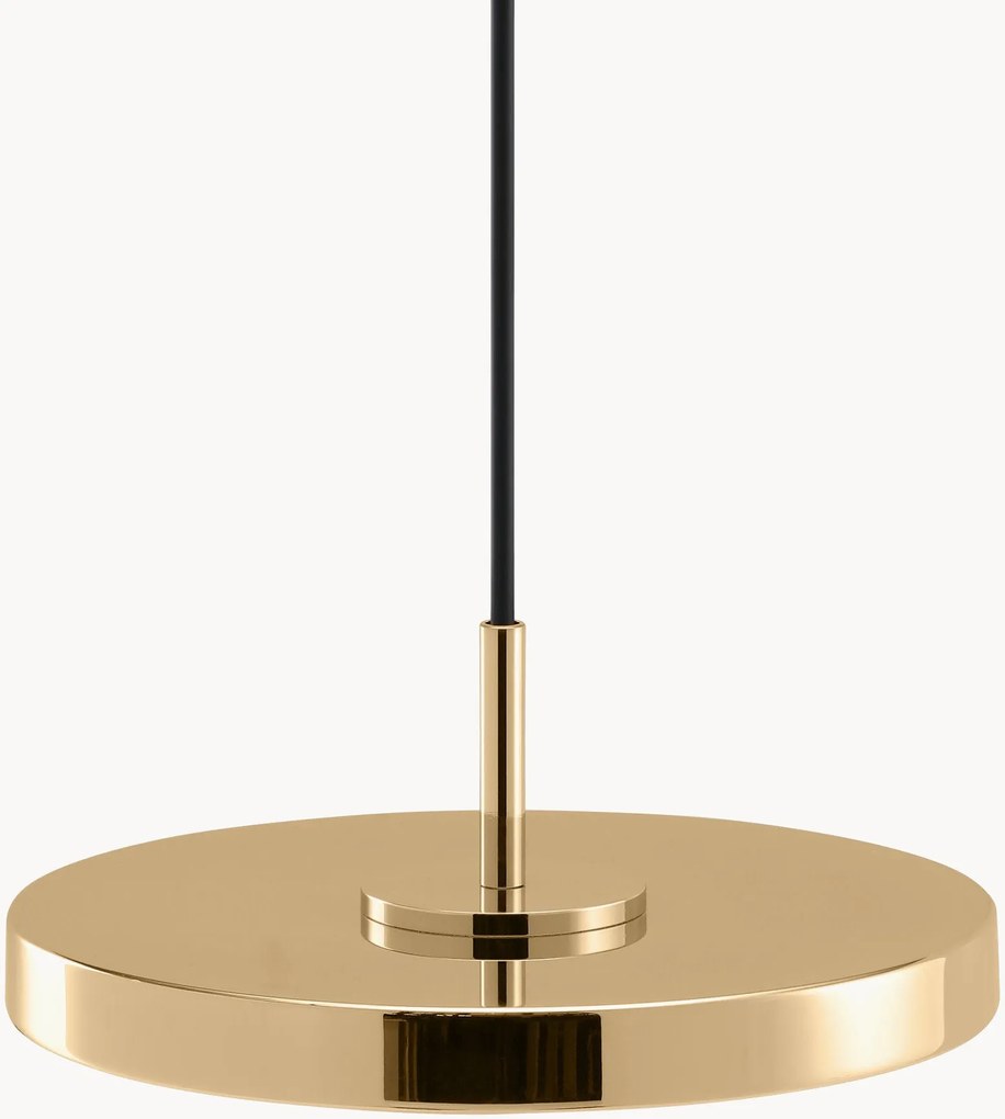 Lampada a sospensione piccola a LED Asteria Micro