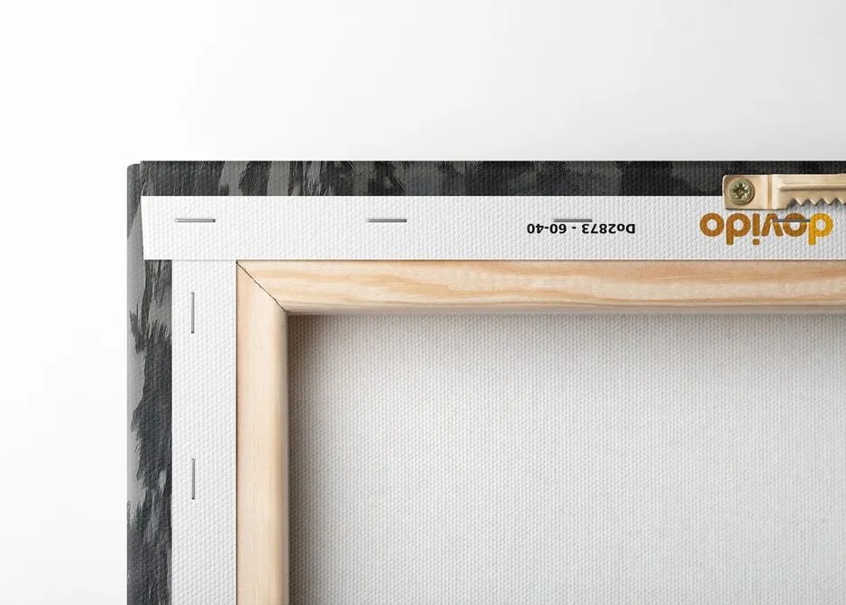 Quadro su tela – Cavallo nero con giornali in bagno