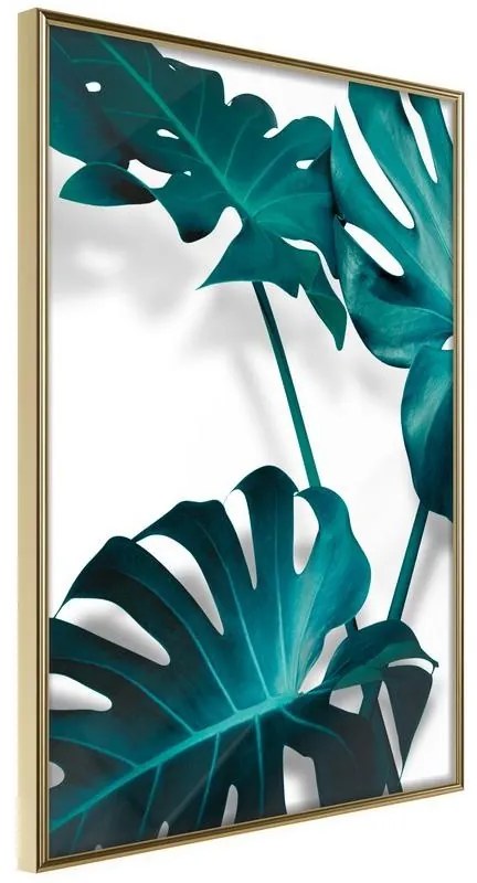 Poster Turquoise Monstera II