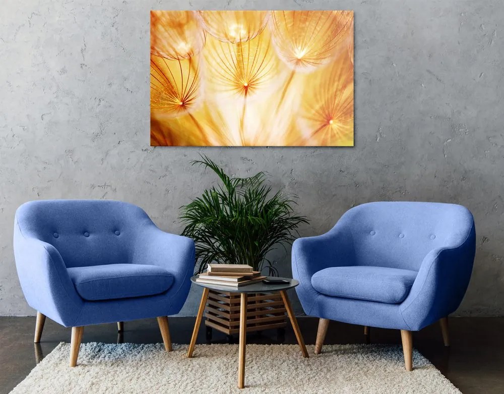 Quadro su tela – Soffione in splendida esecuzione