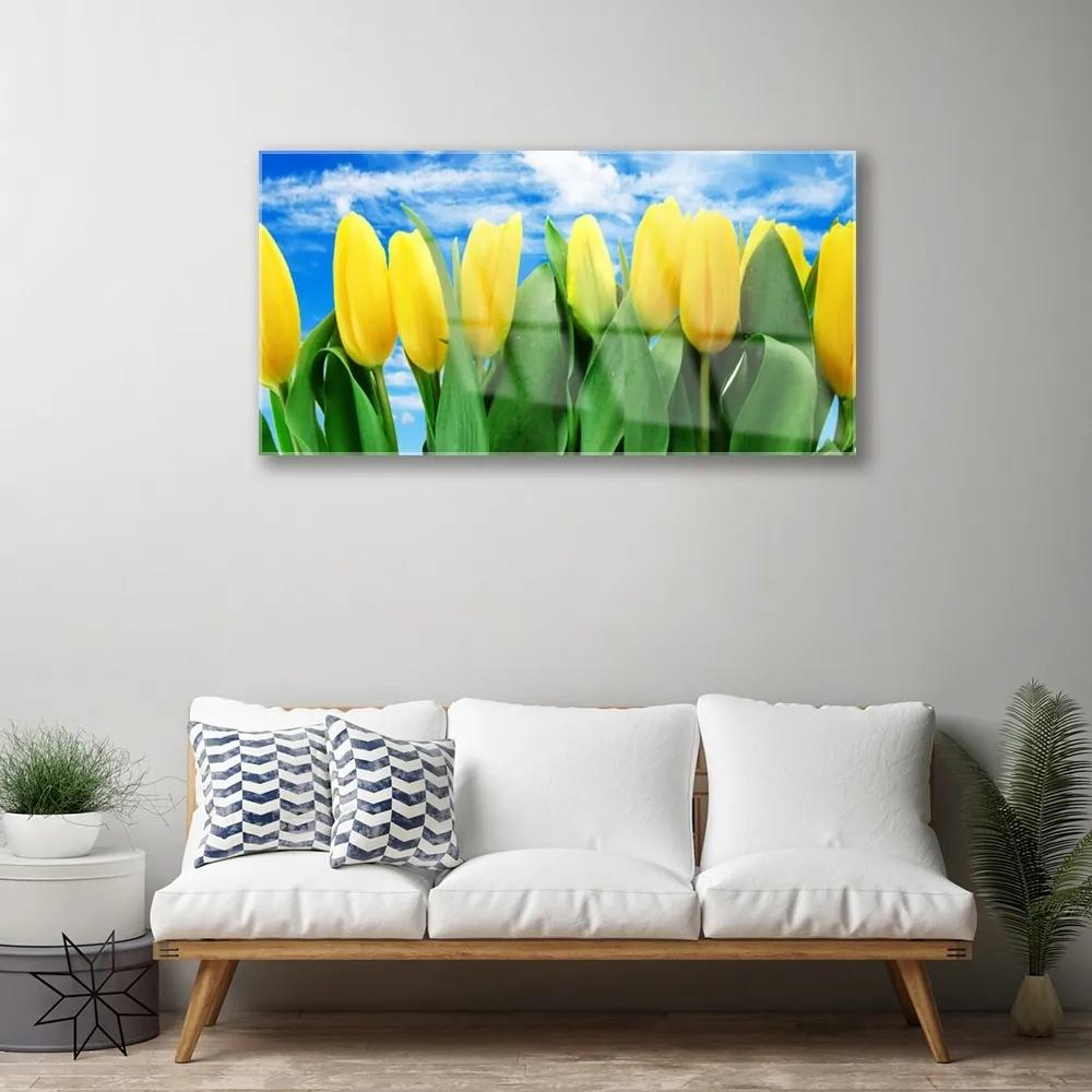 Quadro su vetro acrilico Fiori di tulipani 100x50 cm