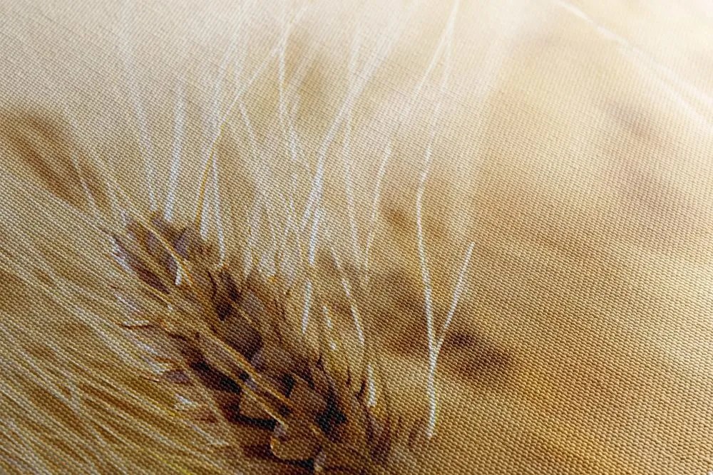 Quadro su tela – Campo di grano