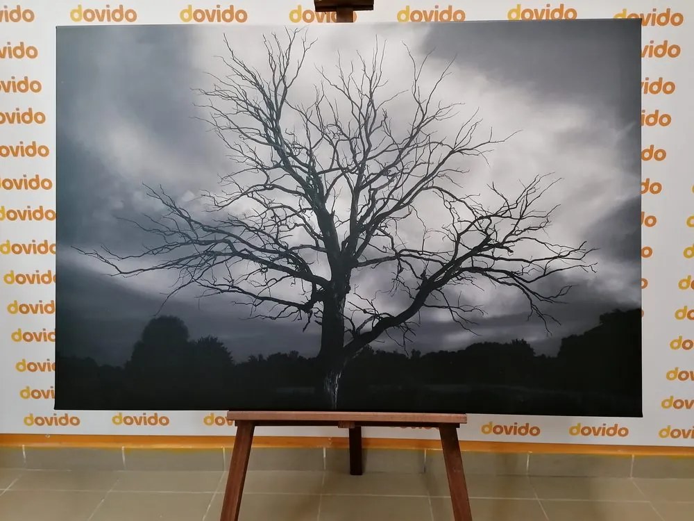 Quadro su tela – Albero sul prato in bianco e nero