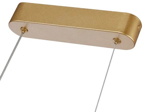 Brilagi-LED Lampadario dimmerabile su cavo TWISTER LED/60W/230V 3000-6000K oro + telecomando