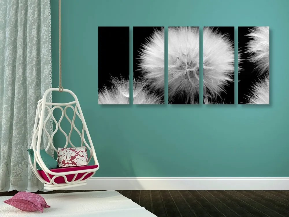 Quadri 5 pezzi – Dente di leone in bianco e nero