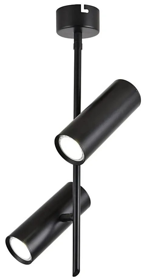 Luce Spot LED TUBA 2xLED/10W/230V nero