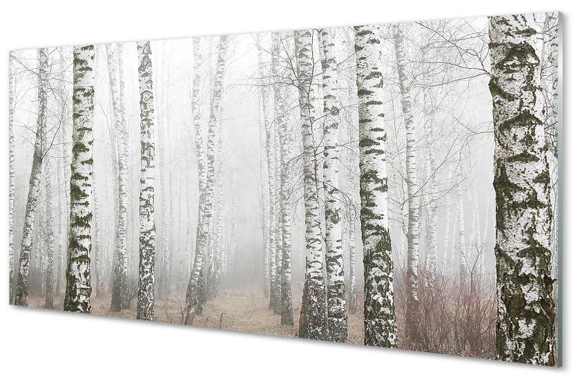 Quadro acrilico Nebbia di betulla 100x50 cm