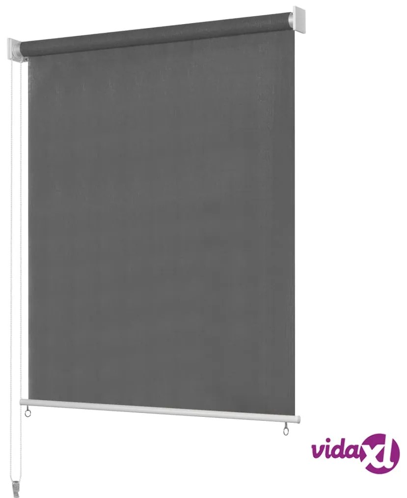 vidaXL Tenda a Rullo per Esterni 120x140 cm Antracite