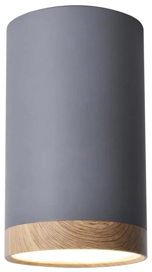 Plafoniera LED TUBA LED/9W/230V