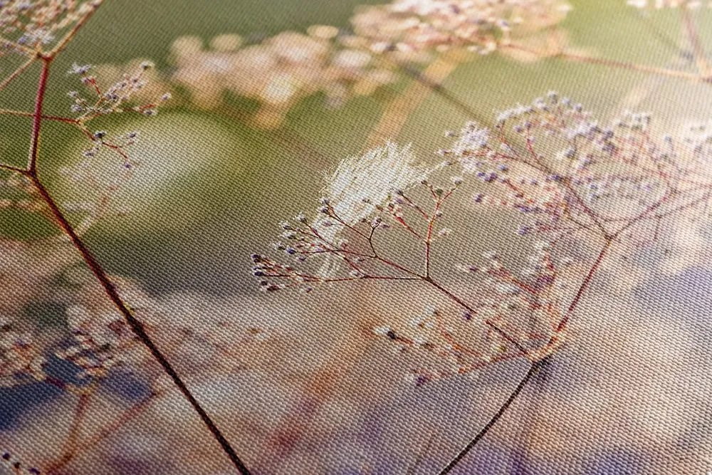 Stampa su tela – Natura morta di fiori