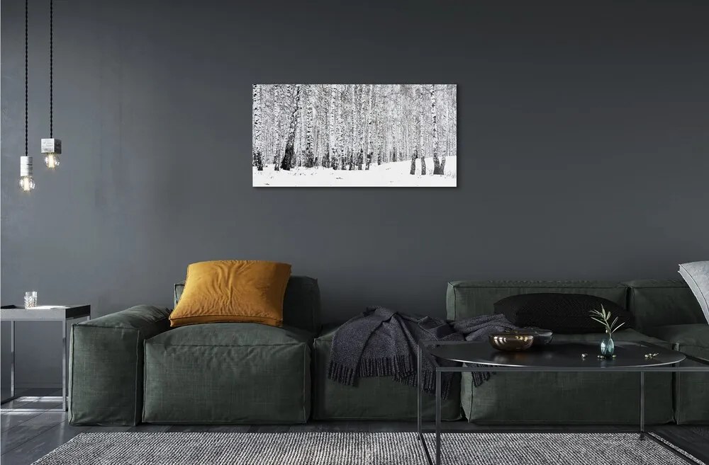 Quadro vetro Alberi betulle invernali 100x50 cm