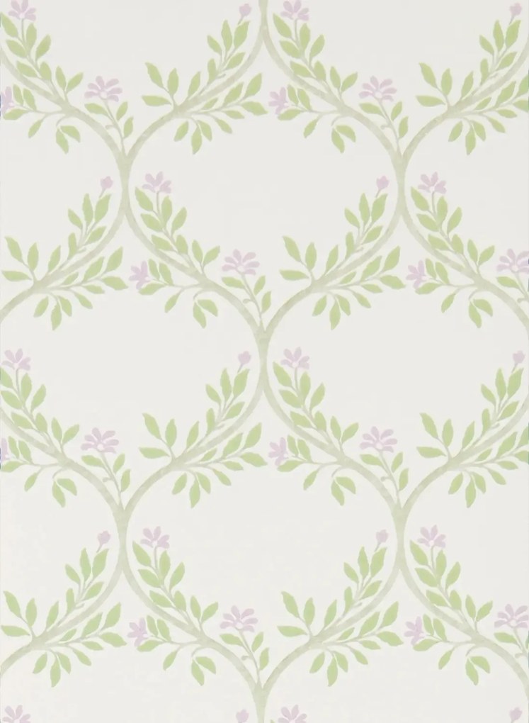 Nina Campbell Tapete Arber - Sage/ Lilac