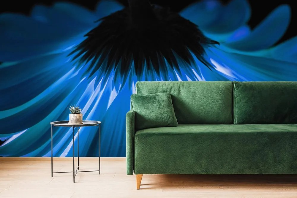Carta da parati – Gerbera blu
