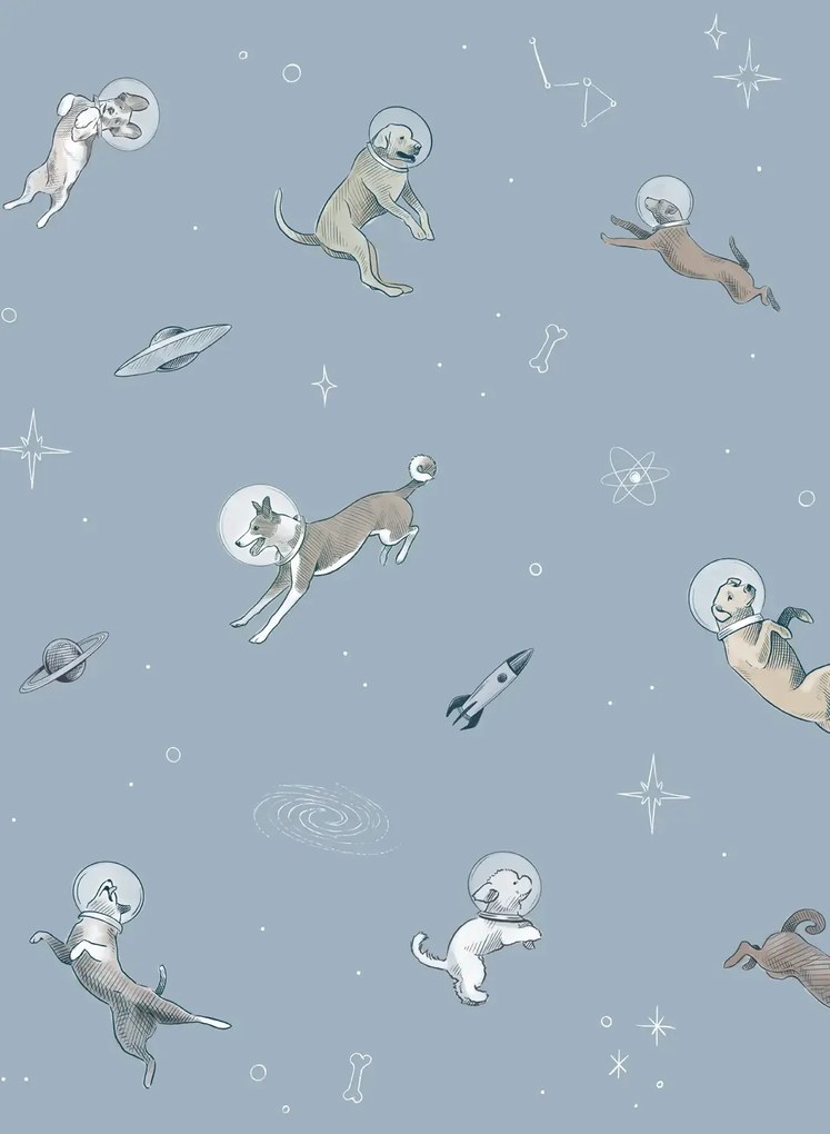 Coordonne Carta da parati panoramica Doggy Gravity - Sky