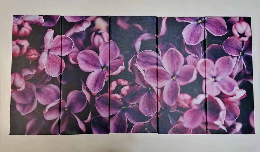 Quadri 5 pezzi – Fiori di lillà viola
