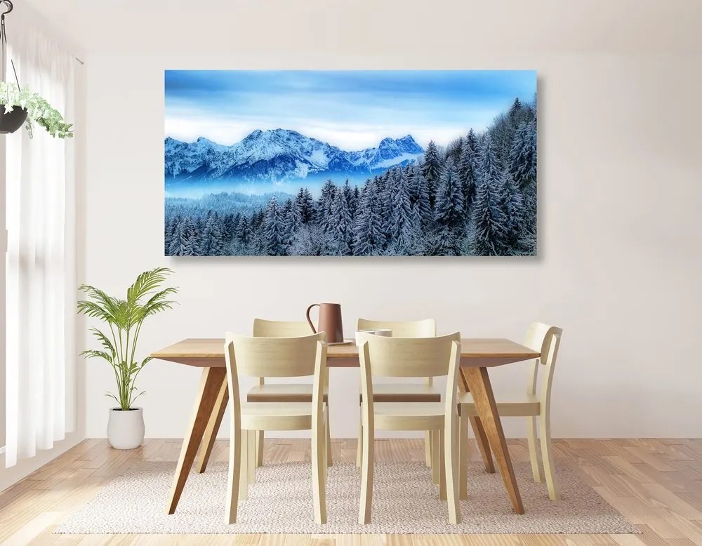 Quadro su tela – Montagne congelate