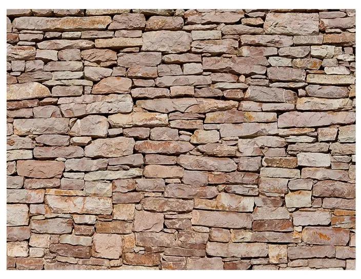 Fotomurale Muro in pietra naturale