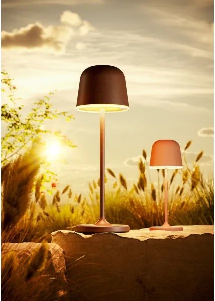 Eglo 901938 - Lampada da tavolo LED ricaricabile dimmerabile per esterni MANNERA-S LED/1,8W/5V IP54 arancione