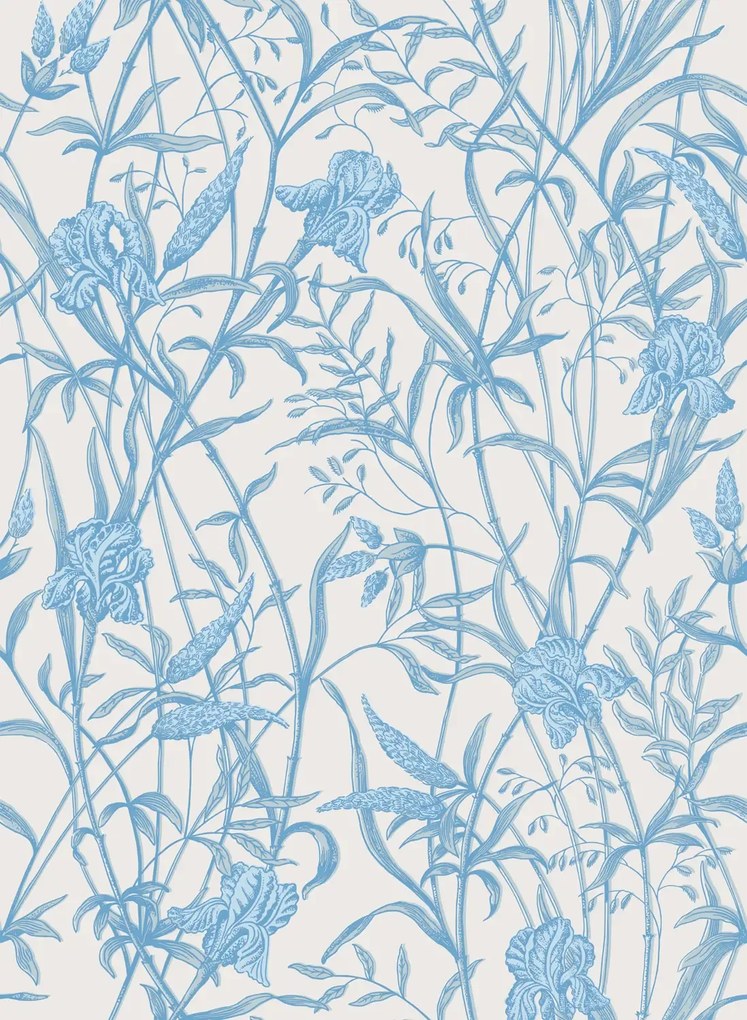Cole & Son Carta da parati Iris - Soft Cerulean on Porcelain