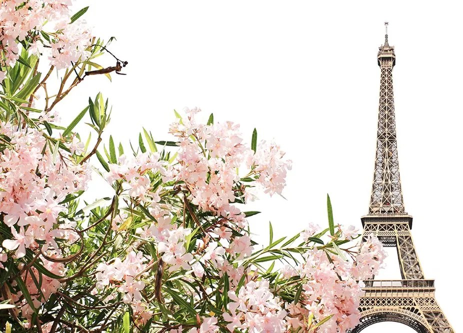 Carta da parati – Torre Eiffel e fiori rosa