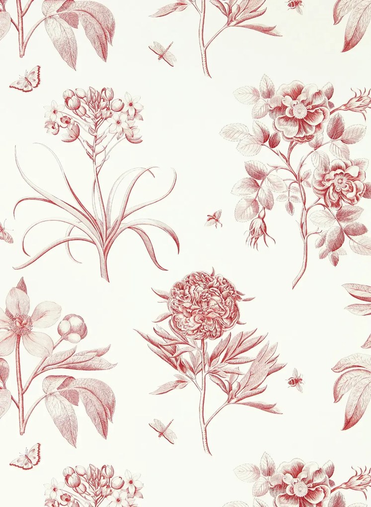 Sanderson Tapete Etchings & Roses - Amanpuri Red