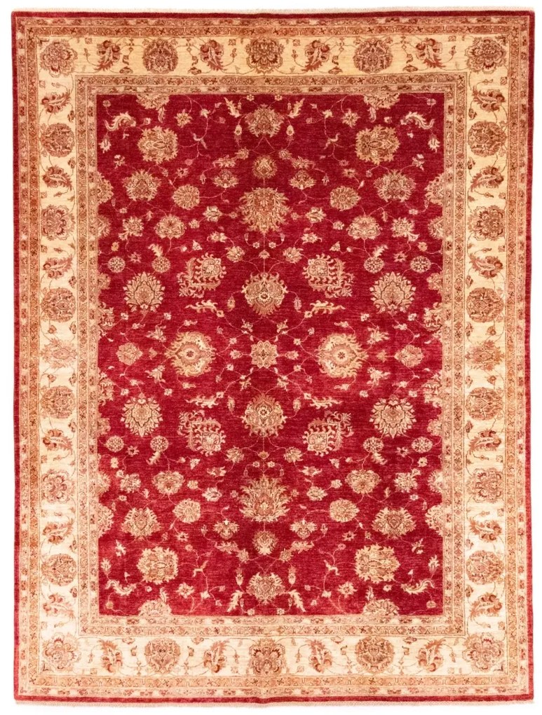 Ziegler Tappeto 250x340 (Afghanistan)