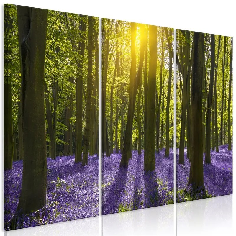 Quadro Hyacinth Field (3 Parts)  Colore Viola, Dimensioni e Misure 120x80