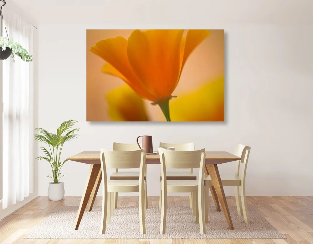 Stampa su tela – Splendido fiore