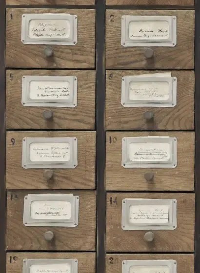 Schranktapete Apothecary von MIND THE GAP - WP20264