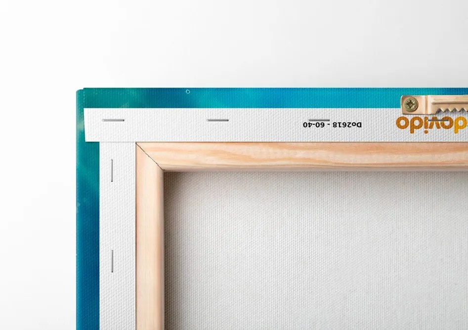 Stampa su tela – Tartaruga blu-oro