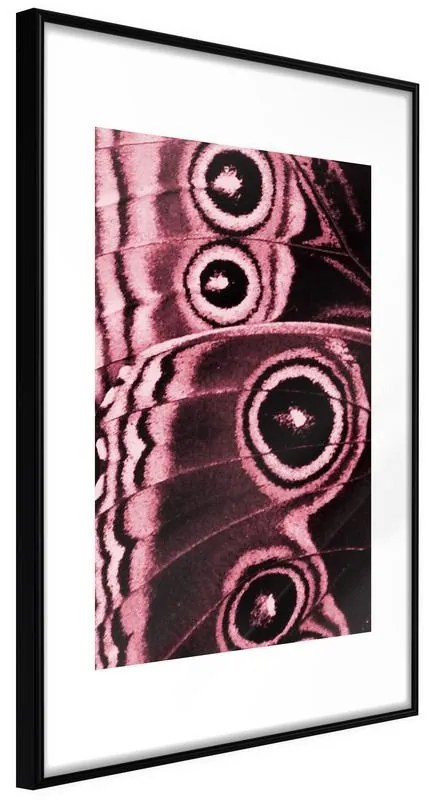 Poster  Butterfly Wings  Cornice Quadri Cornice nera, Larghezza x Altezza Home decor 30x45