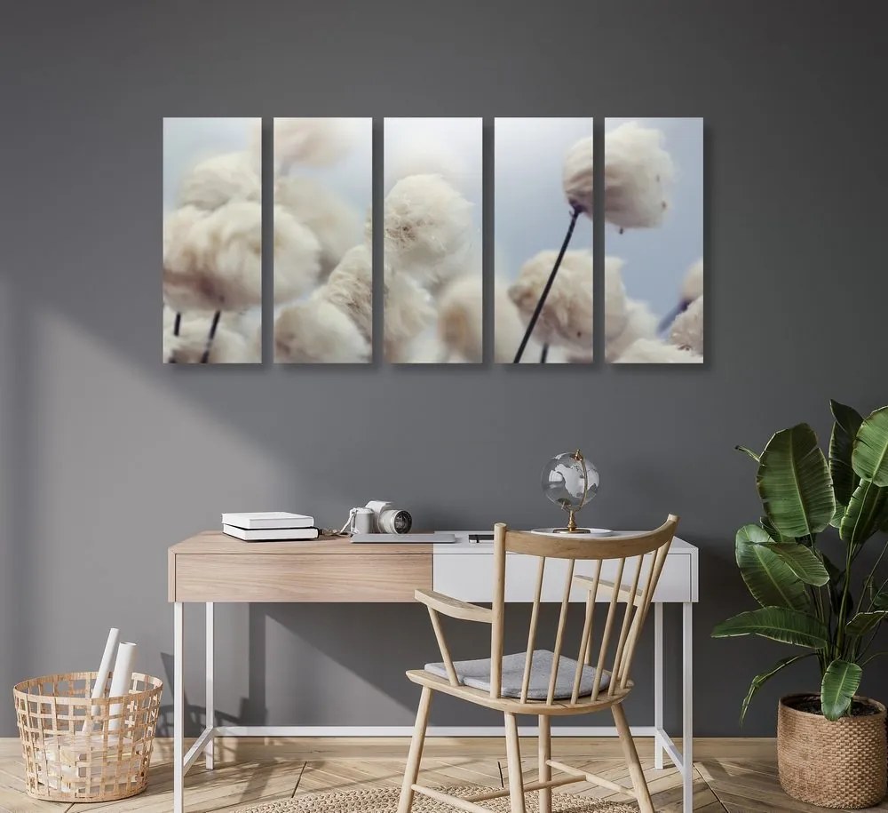 Quadri 5 pezzi – Fiori di cotone artico