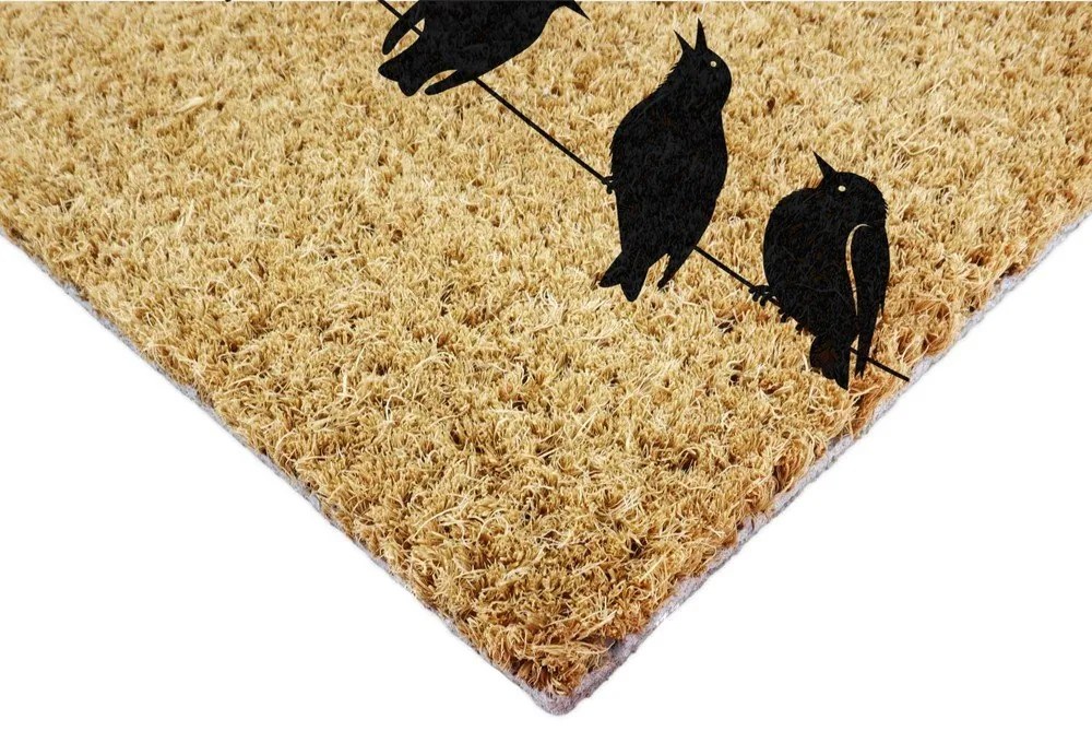 Zerbino in fibre di cocco 40x60 cm Birds On a Wire – Artsy Doormats