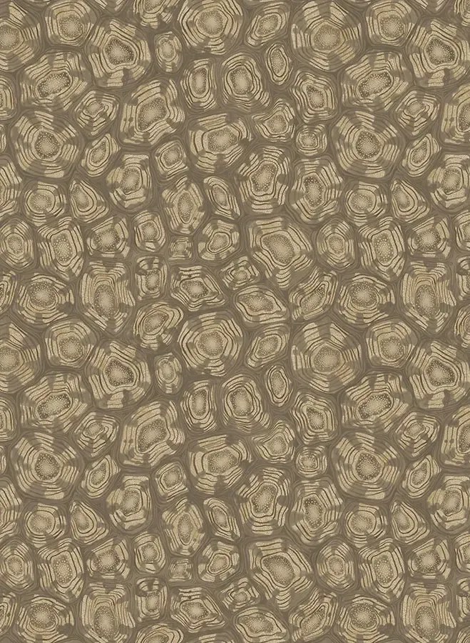 Cole & Son Tapete Savanna Shell - 119/4020