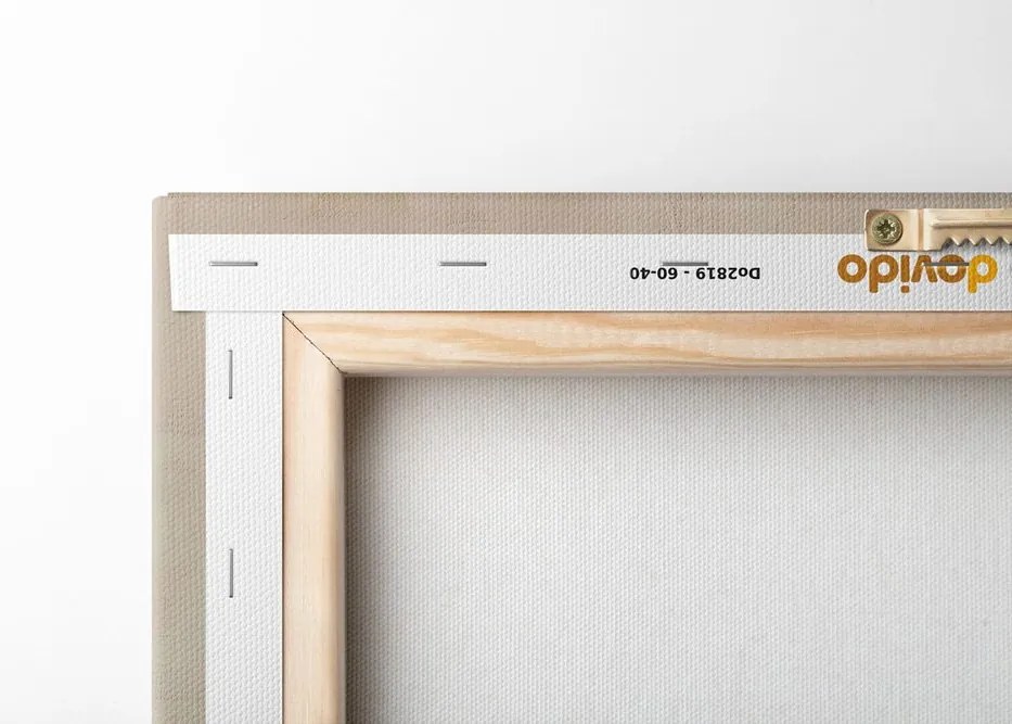 Quadro su tela – Japandi con cerchi moderni