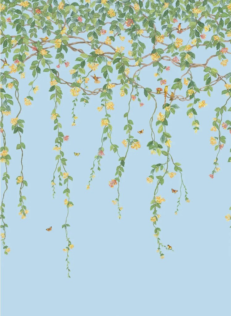 Cole & Son Carta da parati Hummingbirds Flora - Buttercup Yellow on Cornflower Blue