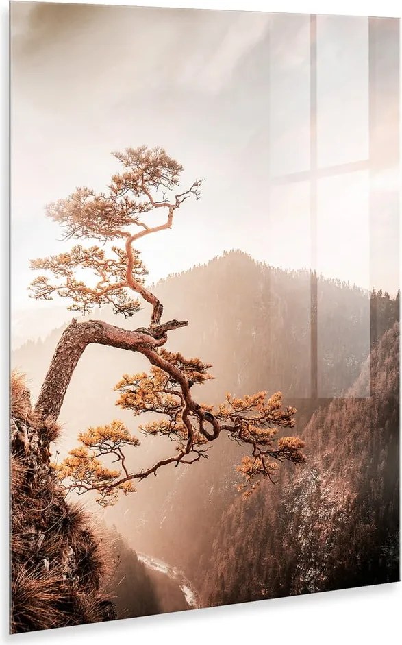 Dipinto su vetro 50x70 cm Brown Tree - Styler