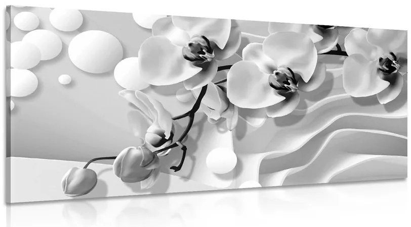 Stampa su tela – Orchidea in bianco e nero su sfondo astratto