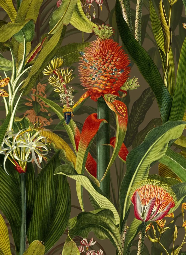 Arte International Carta da parati Blooming Pineapple - Cardinal