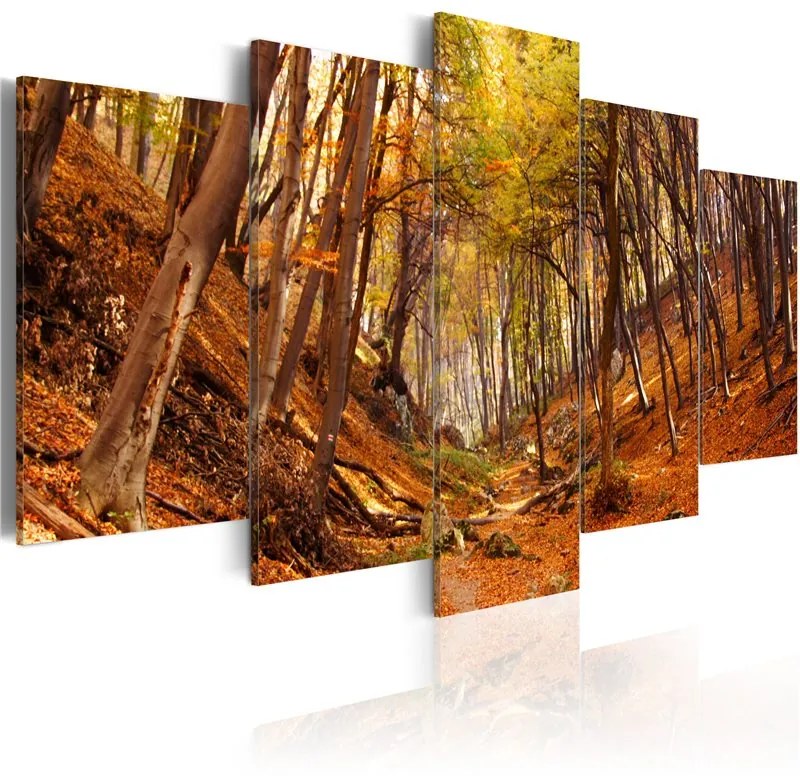 Quadro Autunno arancione  Colore Marrone, Dimensioni e Misure 100x50